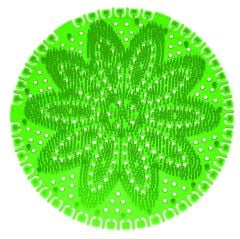 PİSUVAR KOKUSU LAVABO KOKU GİDERİCİ 6'LI SET