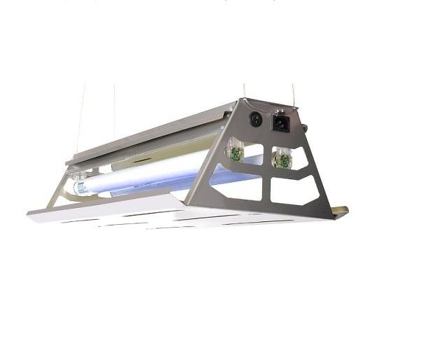 Asmalı Yapışkan Bantlı Sinek öldürücü